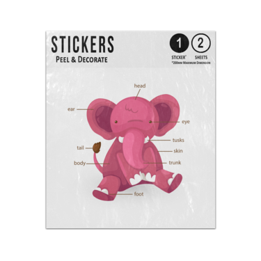 Picture of Elephant Animal Anatomy Body Parts Preschool Illustration Sticker Sheets Twin Pack