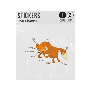 Picture of Fox Animal Anatomy Body Parts Preschool Illustration Sticker Sheets Twin Pack