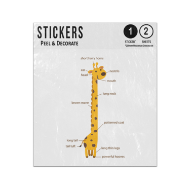 Picture of Giraffe Animal Anatomy Body Parts Preschool Illustration Sticker Sheets Twin Pack