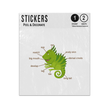 Picture of Iguana Animal Anatomy Body Parts Preschool Illustration Sticker Sheets Twin Pack