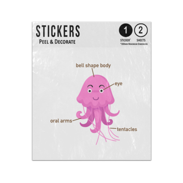 Picture of Jellyfish Animal Anatomy Body Parts Preschool Illustration Sticker Sheets Twin Pack