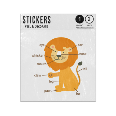 Picture of Lion Animal Anatomy Body Parts Preschool Illustration Sticker Sheets Twin Pack