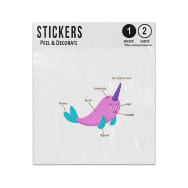 Picture of Narwal Animal Anatomy Body Parts Preschool Illustration Sticker Sheets Twin Pack