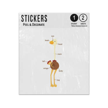 Picture of Ostrich Animal Anatomy Body Parts Preschool Illustration Sticker Sheets Twin Pack