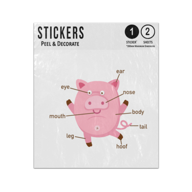 Picture of Pig Animal Anatomy Body Parts Preschool Illustration Sticker Sheets Twin Pack