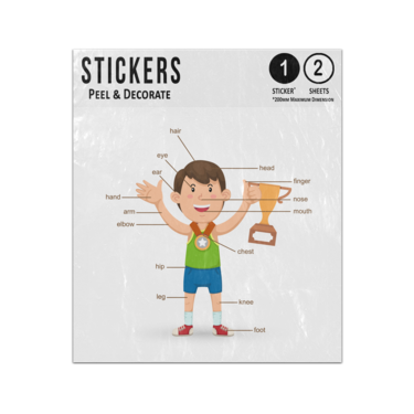 Picture of Sporty Boy Human Anatomy Body Parts Preschool Illustration Sticker Sheets Twin Pack