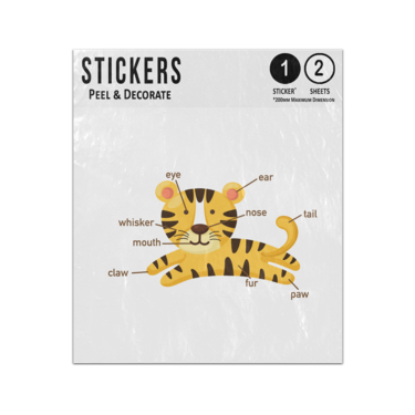Picture of Tiger Animal Anatomy Body Parts Preschool Illustration Sticker Sheets Twin Pack