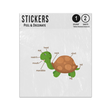 Picture of Turtle Animal Anatomy Body Parts Preschool Illustration Sticker Sheets Twin Pack