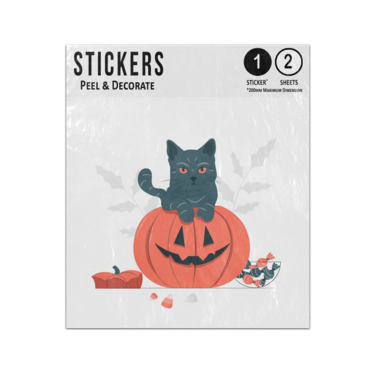 Picture of Black Cat Orange Eyes Sitting On Smiling Pumpkin Halloween Sticker Sheets Twin Pack
