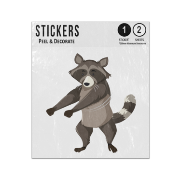Picture of Cartoon Raccoon Floss Dancing  Sticker Sheets Twin Pack