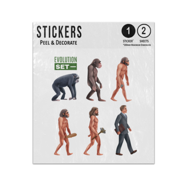Picture of Evolution Of Man Ape To Human Development Stages Sticker Sheets Twin Pack