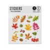 Picture of Autumn Leaves Berries Nut Collection Red Orange Brown Yellow Sticker Sheets Twin Pack
