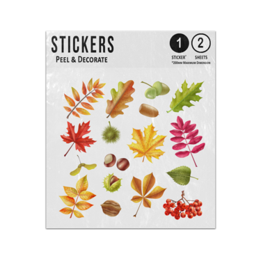 Picture of Autumn Leaves Berries Nut Collection Red Orange Brown Yellow Sticker Sheets Twin Pack