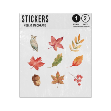 Picture of Autumn Leaves Collection Foliage Berries Acorn Nut Owl Sticker Sheets Twin Pack