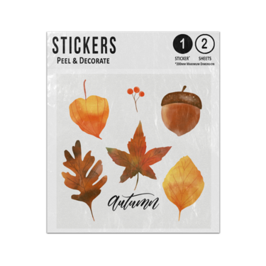 Picture of Autumn Leaves Nuts Berries Watercolour Dried Collection Sticker Sheets Twin Pack