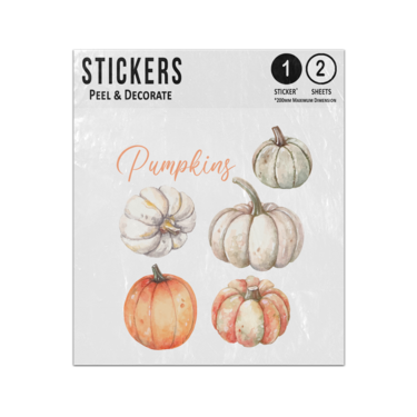 Picture of Autumn Watercolour Orange Grey Pumpkin Squash Five Designs Sticker Sheets Twin Pack