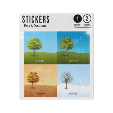 Picture of Four Seasonal Trees Spring Summer Autumn Winter Square Sticker Sheets Twin Pack