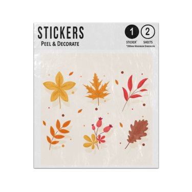 Picture of Six Different Autumn Leaf Leaves Chestnut Sycamore Oak Rowan Sticker Sheets Twin Pack