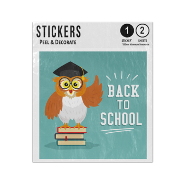 Picture of Back To School Wise Owl Wearing Glasses And Teachers Hat Sticker Sheets Twin Pack