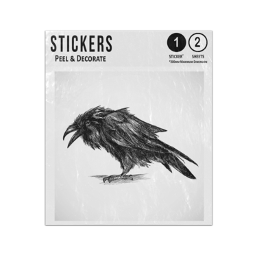 Picture of Black Raven Hand Drawn Chalk Effect Style Drawing Illustration Sticker Sheets Twin Pack