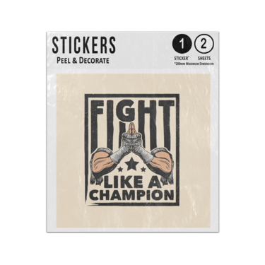 Picture of Fight Like A Champion Martial Arts Combat Greeting Illustration Sticker Sheets Twin Pack