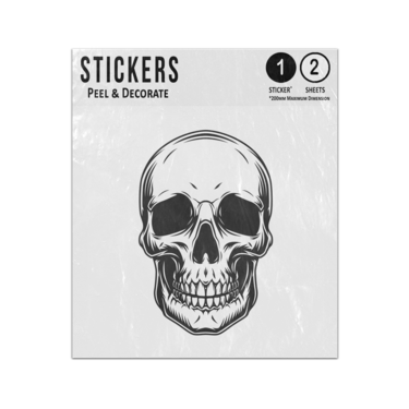Picture of Human Skull Drawing Vintage Black And White Anatomical Sketch Sticker Sheets Twin Pack