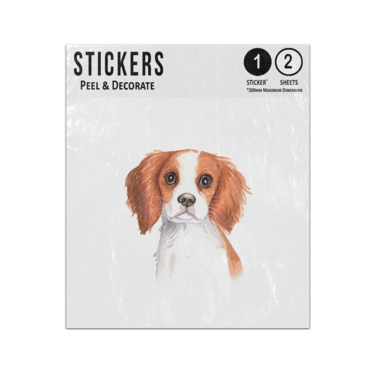 Picture of Cavalier King Charles Spaniel Dog Water Colour Portrait Illustration Sticker Sheets Twin Pack