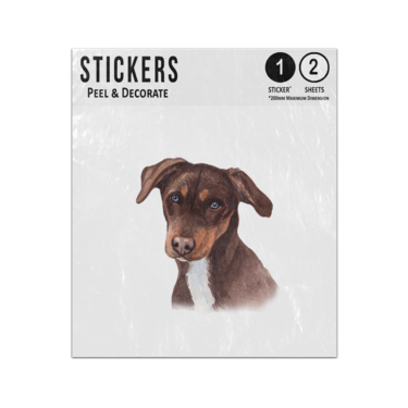 Picture of Chocolate Labrador Dog Hand Painted Watercolour Portrait Illustration Sticker Sheets Twin Pack
