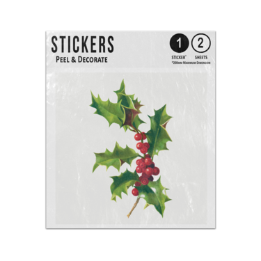 Picture of Christmas Berries Holly And The Ivy Vintage Drawing Illustration Sticker Sheets Twin Pack