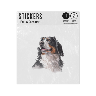 Picture of Collie Dog Hand Painted Watercolour Portrait Illustration Sticker Sheets Twin Pack