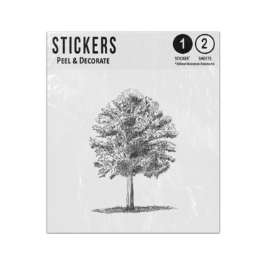 Picture of Hand Drawn Tree Outline Illustration Single Black White Sticker Sheets Twin Pack